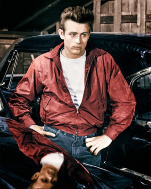 Rebel Without a Cause Dean Red Cotton Jacket