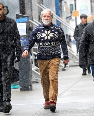The Man With The Bags 2026: Arnold Schwarzenegger (Santa) Christmas Eve Sweater